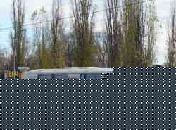 266 