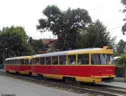 231 