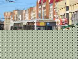 336 