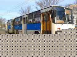 276 