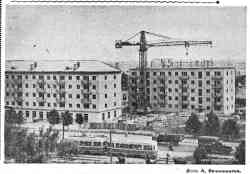 356 