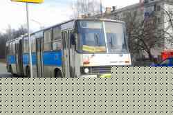 241 