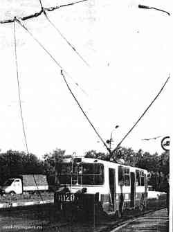 261 