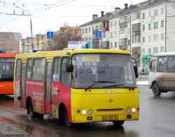229 