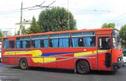 224 