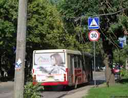 263 