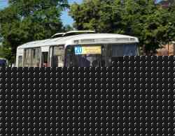 245 
