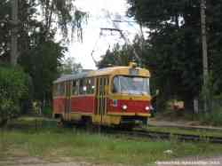 245 