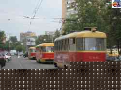 194 