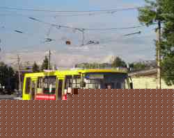 219 