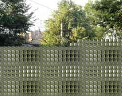 283 