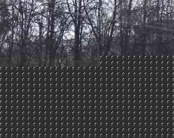 290 