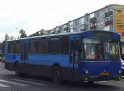 245 