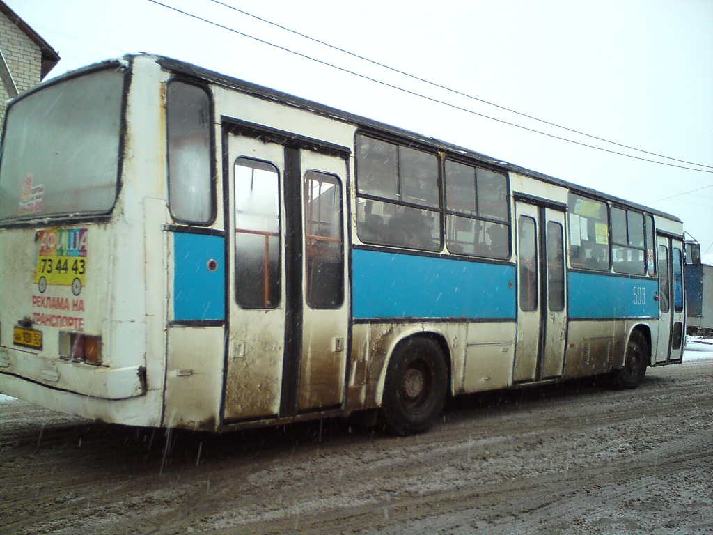 503 503