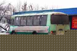 295 