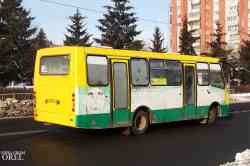 303 