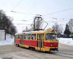 319 