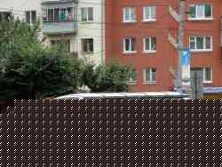 229 