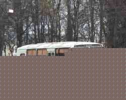 290 