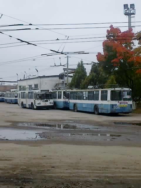 036 036