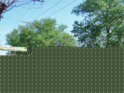 1051 