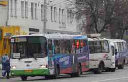 251 