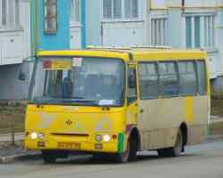 335 