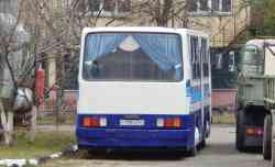 275 