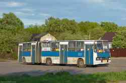 524 