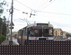 243 