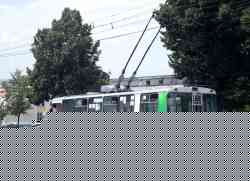 244 