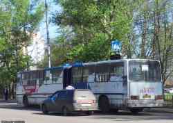 251 