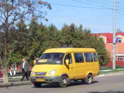 261 