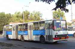 251 