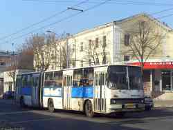 251 