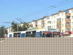196 
