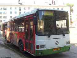 231 
