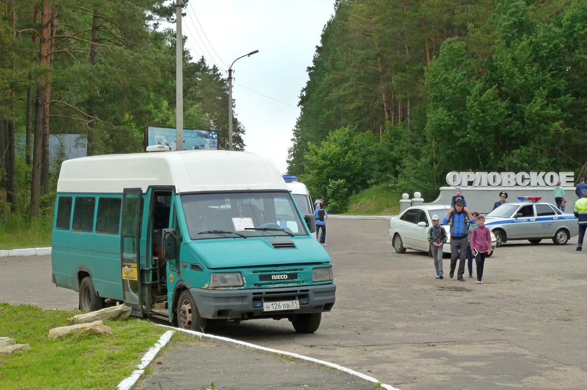 Н 126 ВВ 31 Н 126 ВВ 31