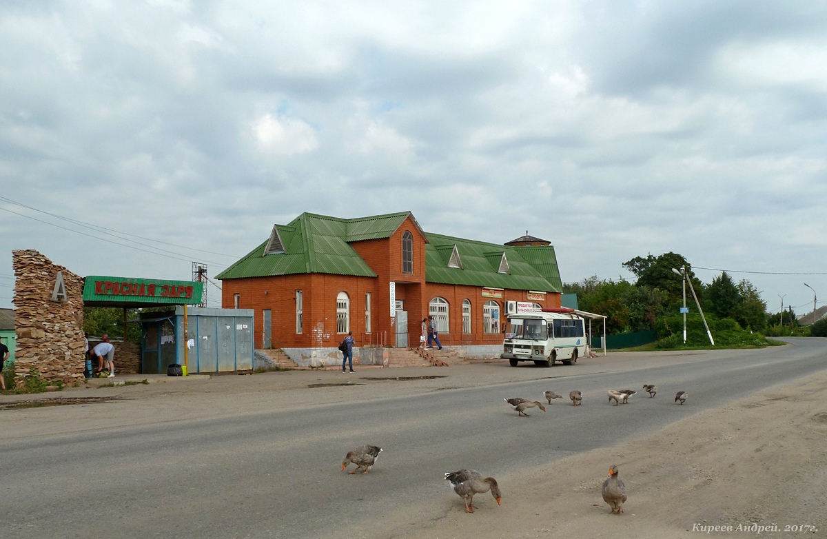Автостанция (Красная Заря) Автостанция (Красная Заря)