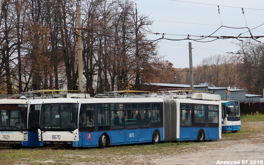 (8670) (8670)