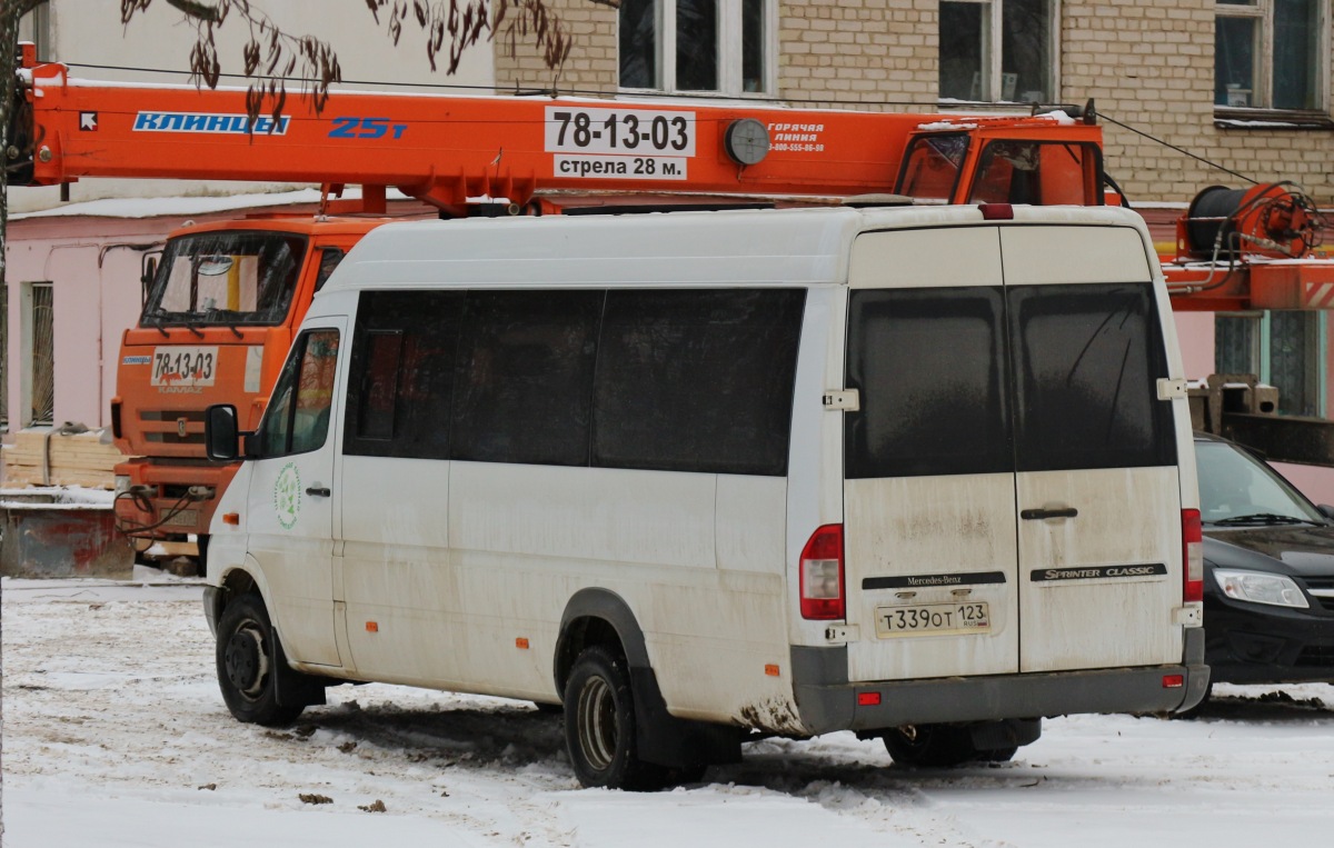 Т 339 ОТ 123 Т 339 ОТ 123
