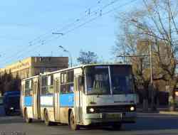 261 