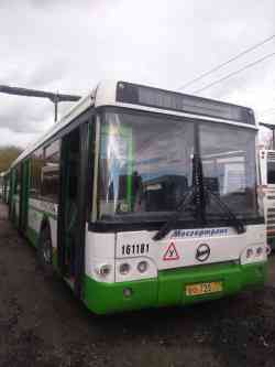 241 